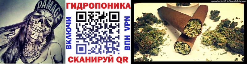 Шишки марихуана семена  купить наркотик  Краснодар 